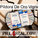 Píldora De Oro Vigra kamagra1